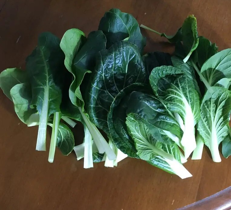 100+ Pak Choi White Stem Cabbage Seeds 500 mg Bok Choy, Vegetable Seeds, Non-GMO