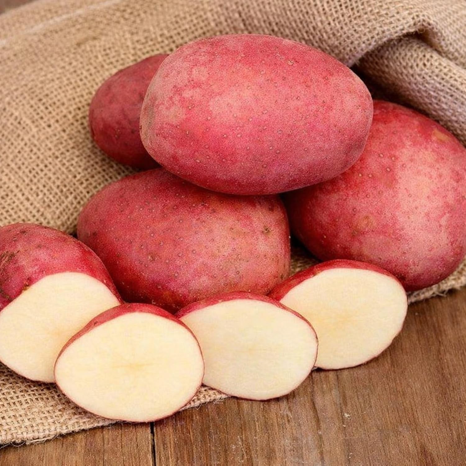 LaSoda Seed Potatoes for Planting | Smooth Red Skin (3 Pounds)