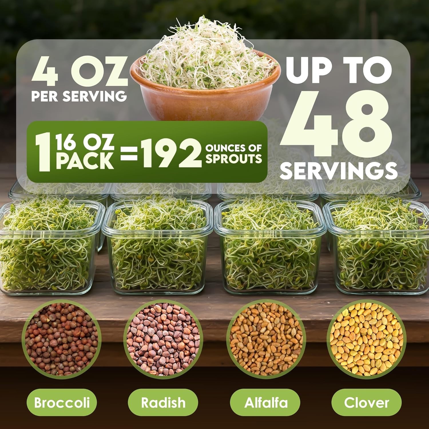 Organic Microgreens: Broccoli, Alfalfa & Radish Salad Seeds – 1lb