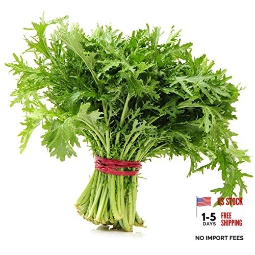 Mizuna (Heirloom Japanese Mustard Greens) (500 Seeds)