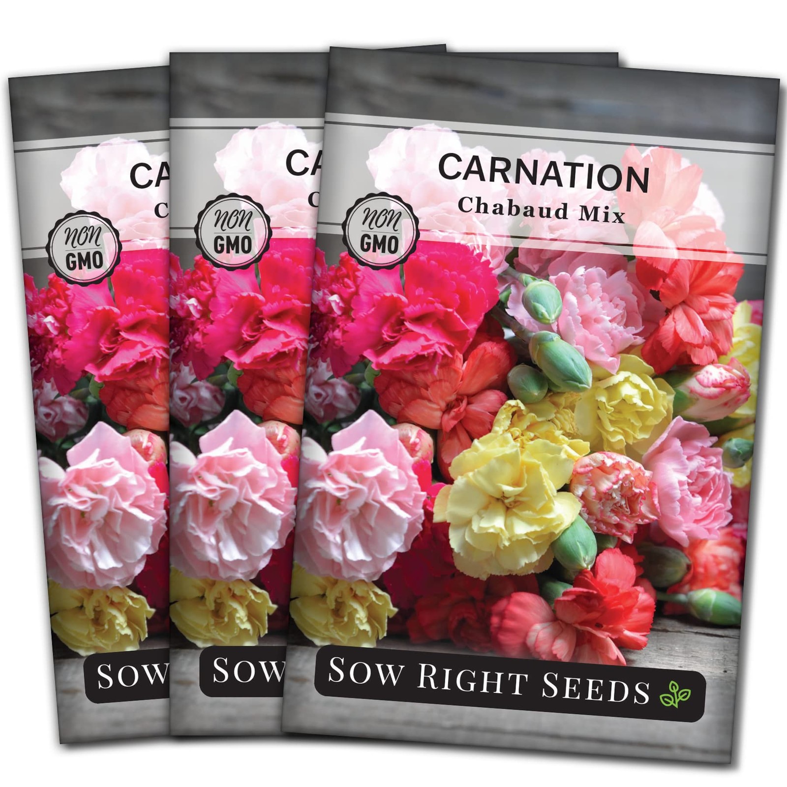Chabaud Mix Carnation Seeds – Non-GMO Dianthus for Vibrant Outdoor Gardens