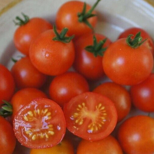 Heirloom Red Robin Tomato Seeds Micro-Dwarf Container, Hydroponic, 25 seeds