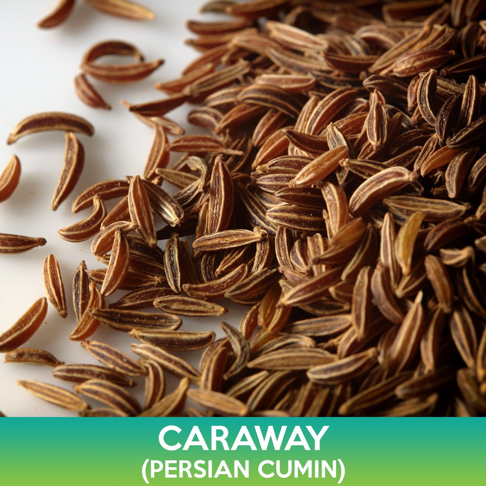 Caraway Seeds, Persian Cumin, Carum carvi