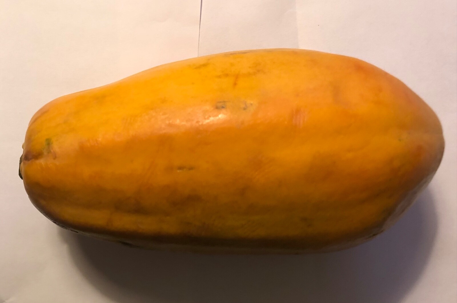 Papaya Fruit Seeds – Caribbean Red – sweet – 60 SEEDS (USA seller)