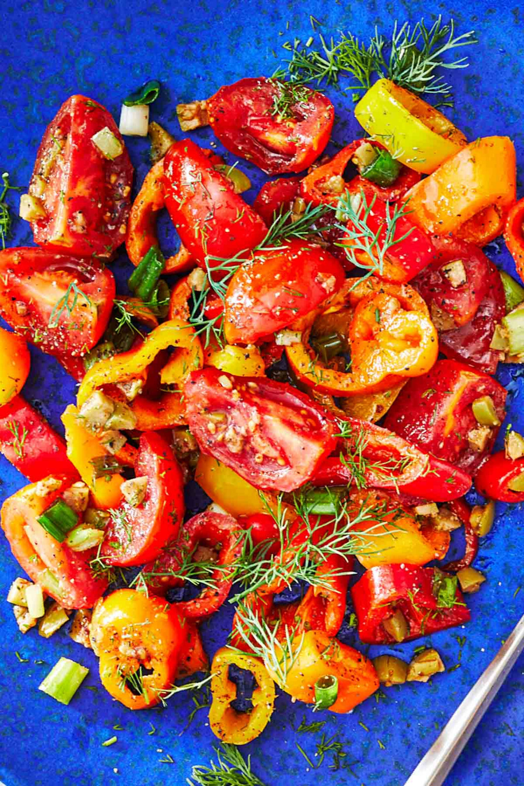 Rainbow Sweet Pepper Seeds (30) / ORGANIC / FLORIDA GROWN / FANTASTIC FLAVOR