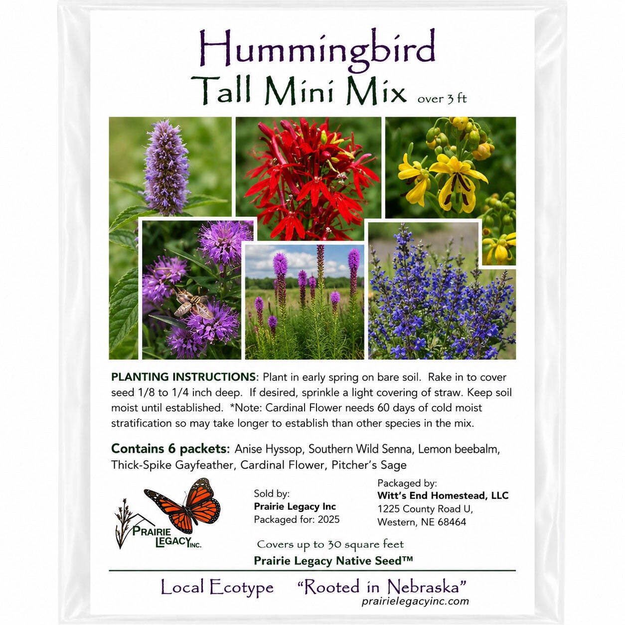 Mini Native Tall Hummingbird Seed Mix | Prairie Legacy Inc.