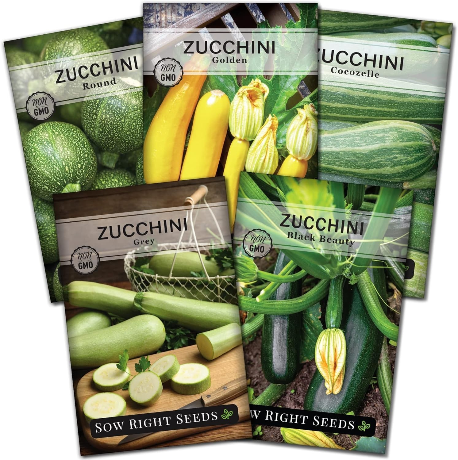 Sow Right Seeds – Zucchini Squash Seed Collection for Planting – Black Beauty, G