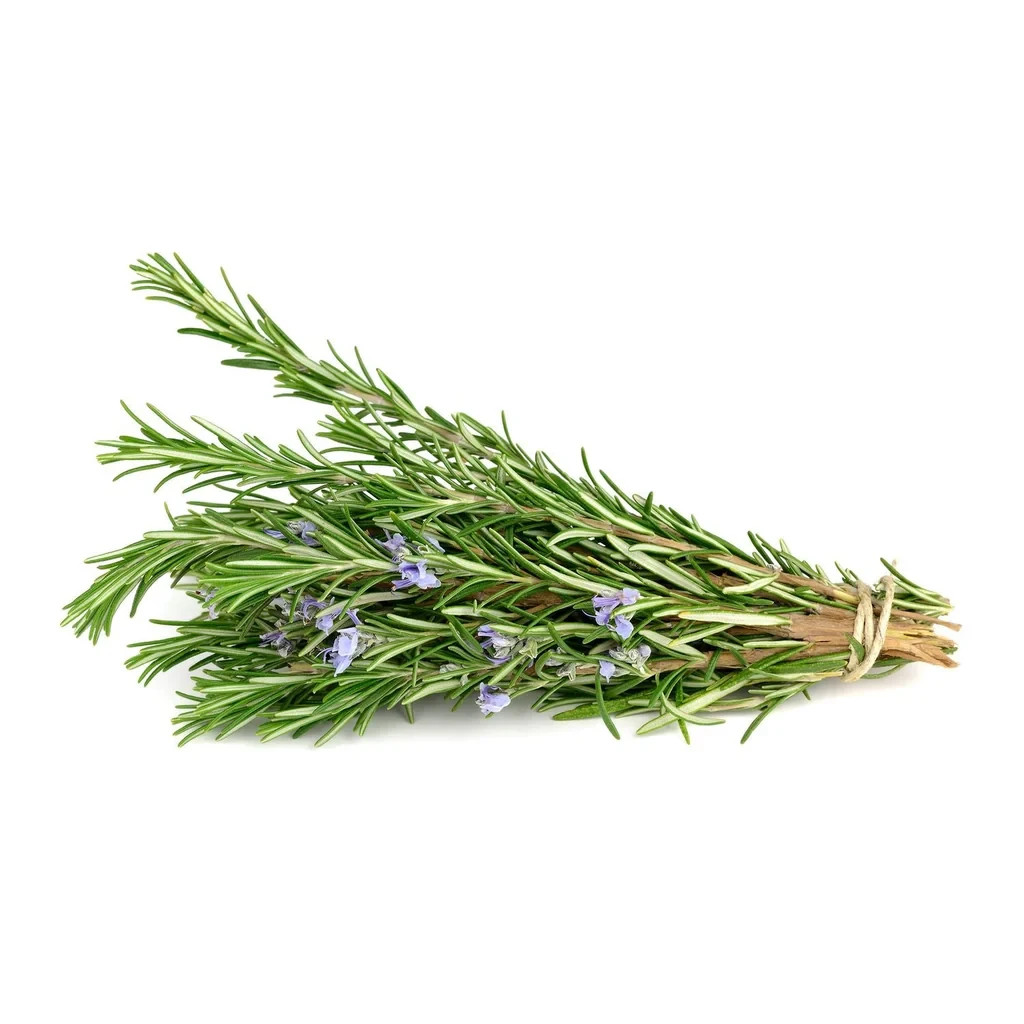 400 Rosemary Herb Seeds Culinary, Potpourri, Medicinal