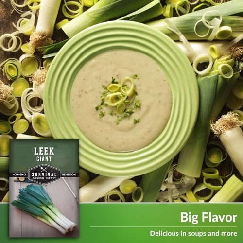 Giant Leek Seed for Planting – Packets with Instructions to Plant and Grow 5