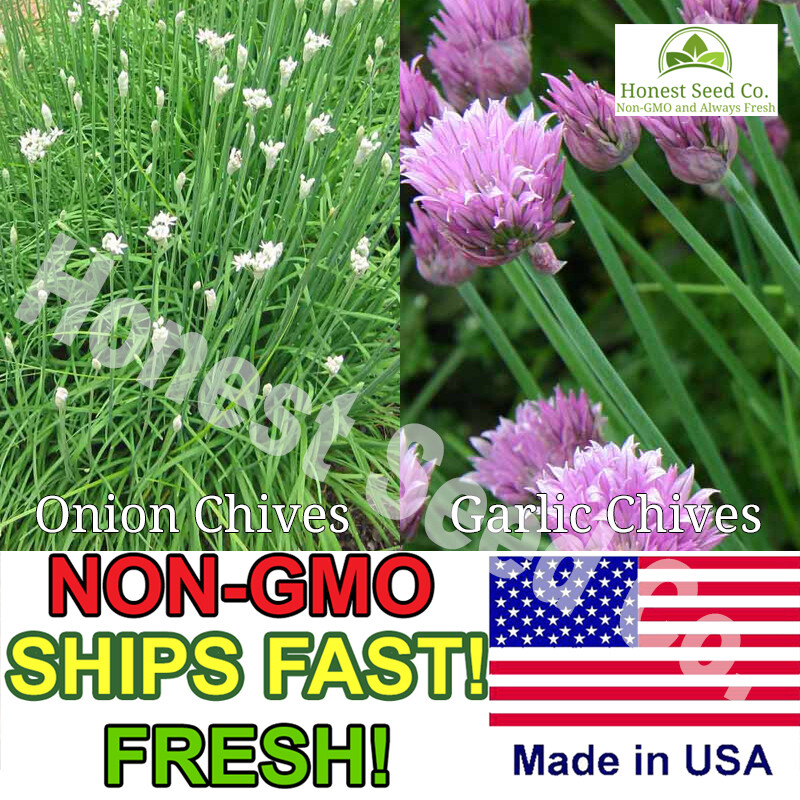 Chives Seeds Garlic and Onion Combo Pack | Non-GMO | Fresh Garden Seeds from USA