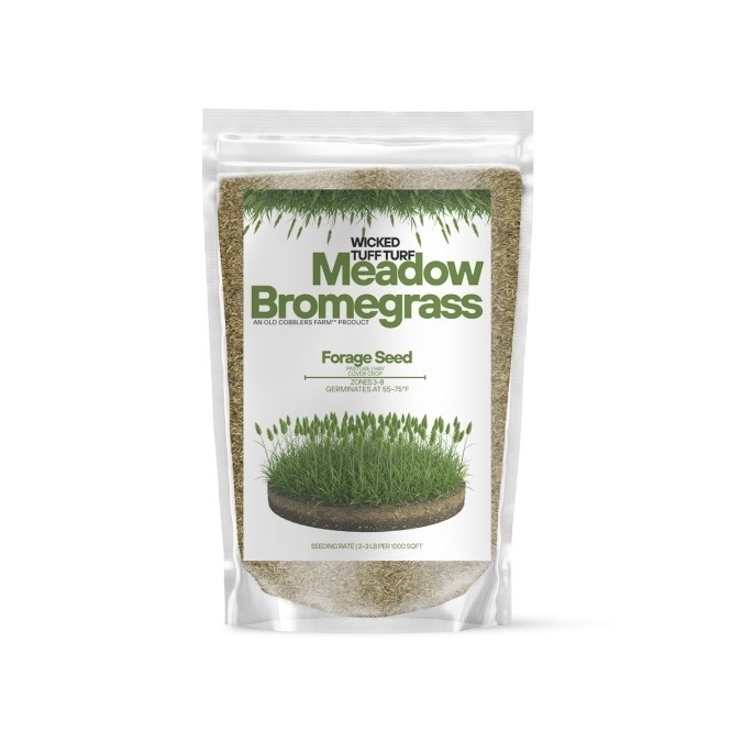 Old Cobblers Farm™ Wicked Tuff Turf Meadow Bromegrass – Fast-Growing Forage