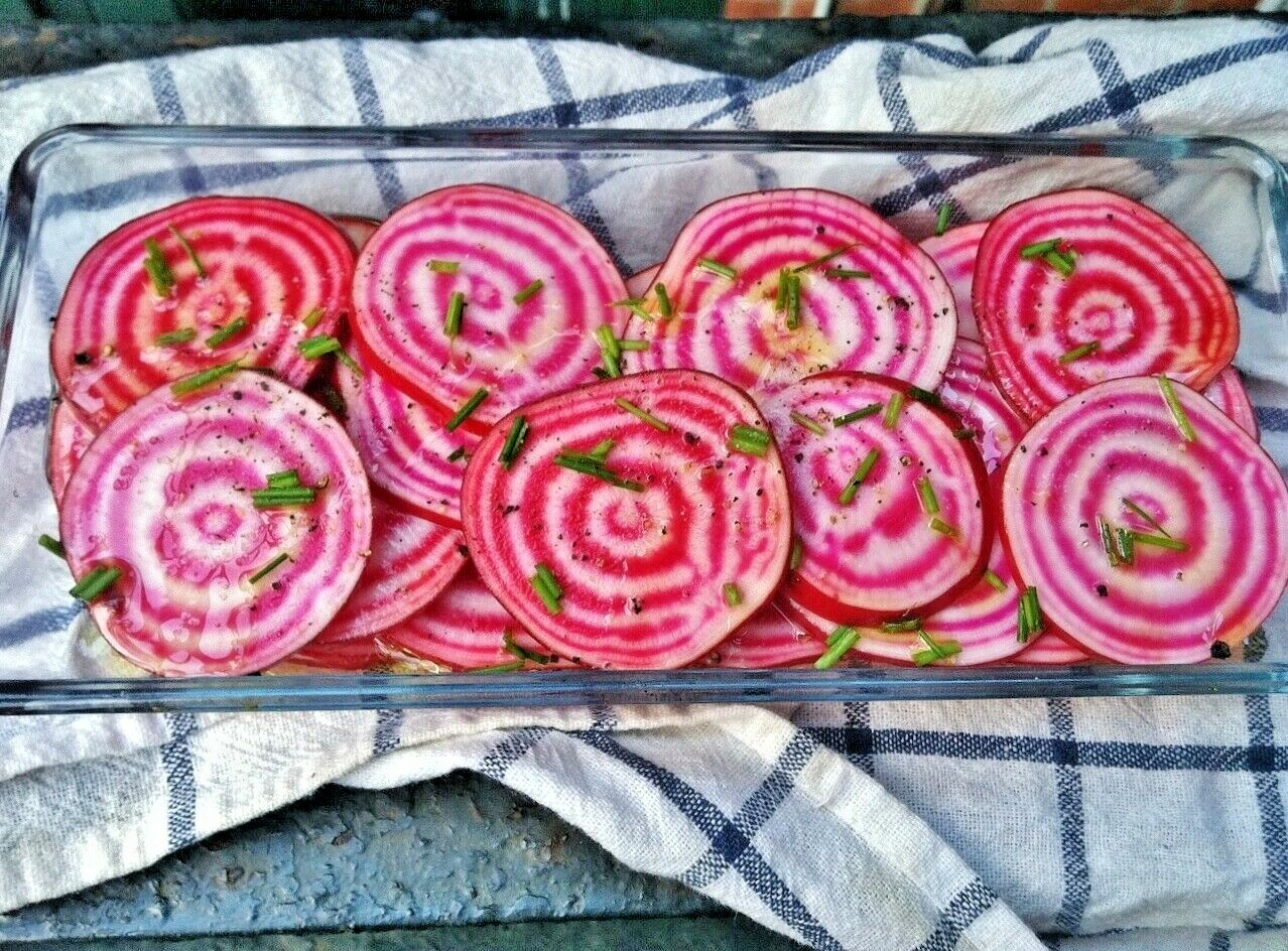 101+CHIOGGIA BEETS Seed Italian Heirloom Vegetable Garden Patio Container Easy