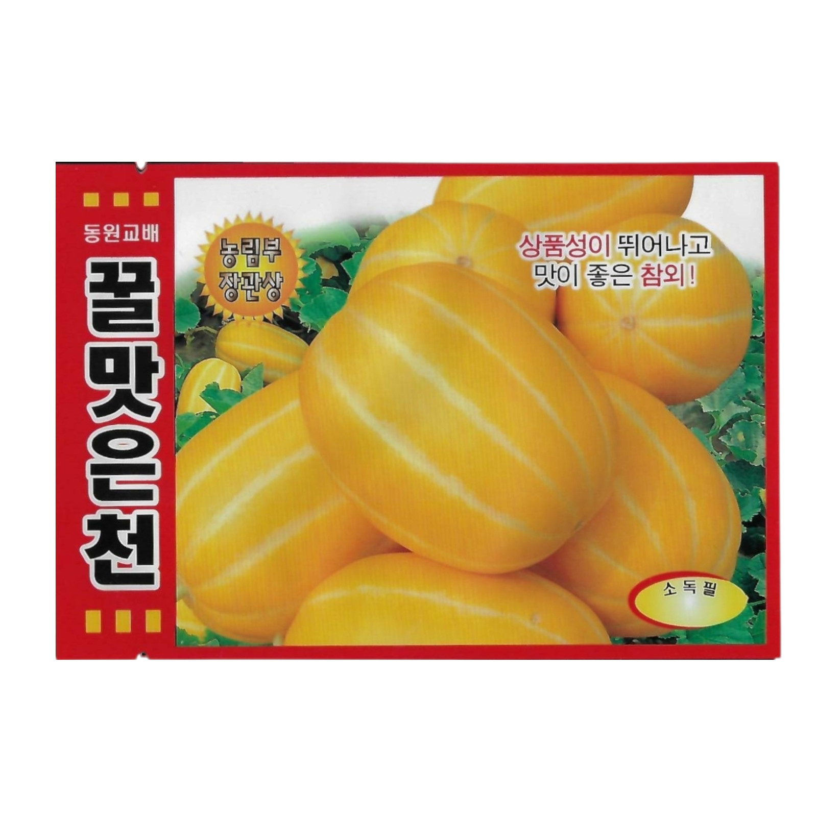 Korean Melon Seeds 1 Pack | Sweet Yellow Summer Melon (참외)