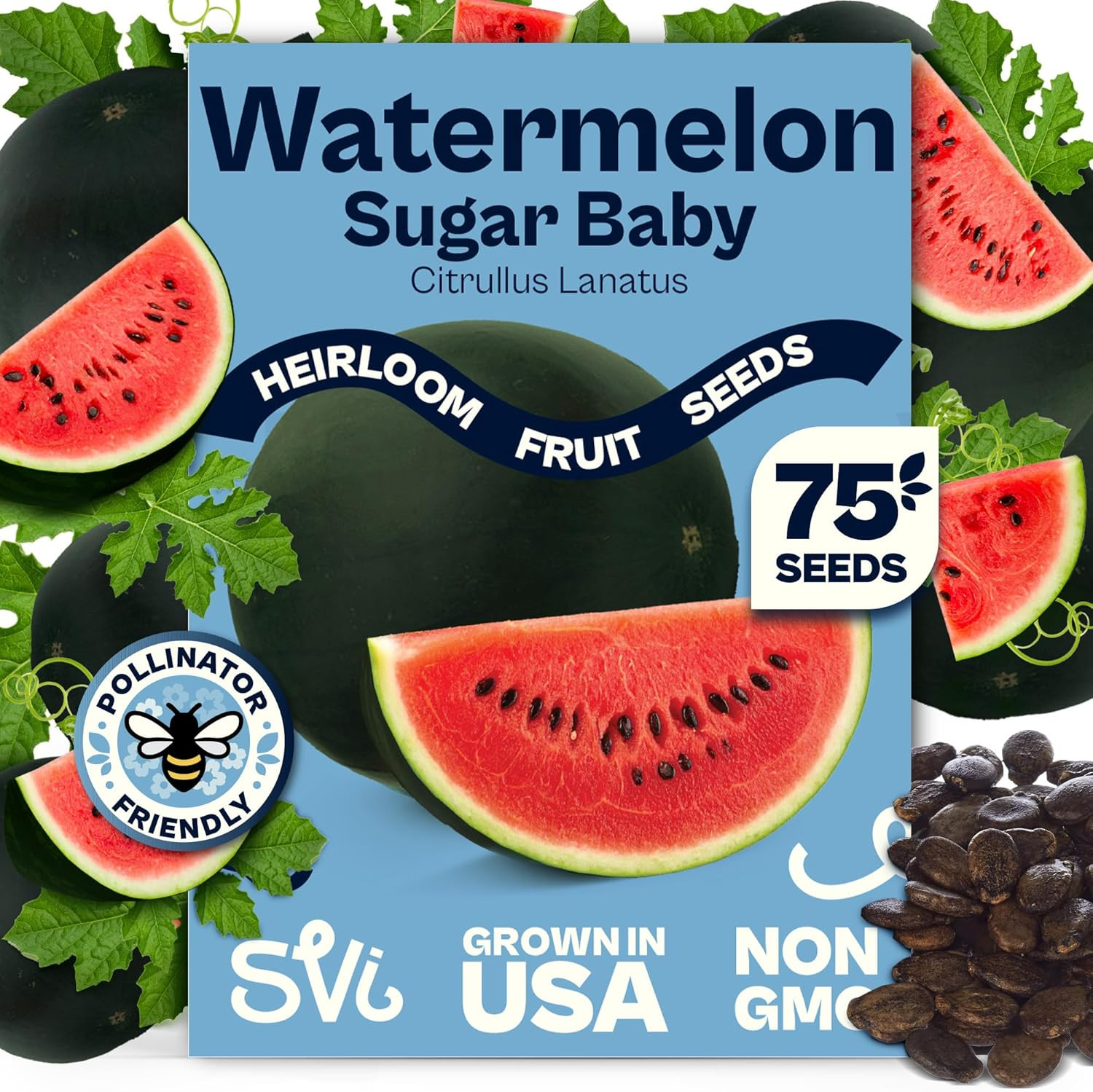 75 Sugar Baby Watermelon Seeds for Planting (Citrullus Lanatus) – Sweet Watermel