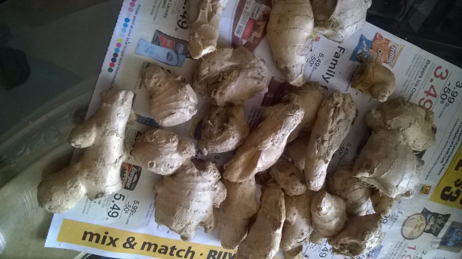 Ginger roots mature (Approx. 3 POUNDS)