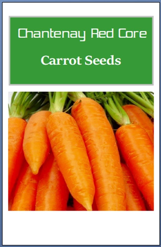 Chantenay Red Core Carrot Seeds | NON-GMO | Heirloom | Fresh Garden Seeds