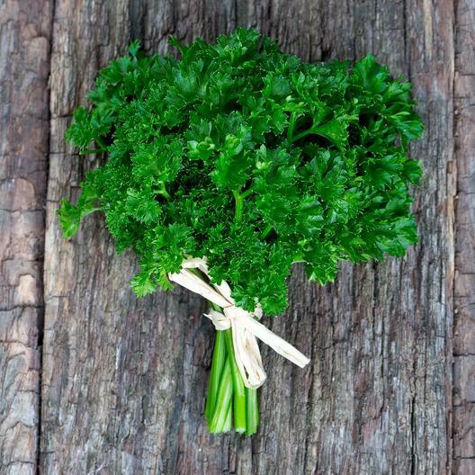 PARSLEY SEEDS CURLED Black Swallowtail Butterfly Host Plant Non-GMO 300 Seeds