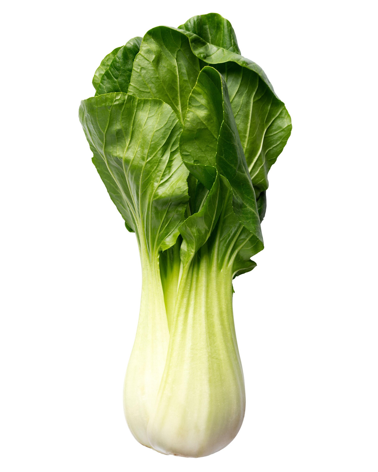 Chinese White Stem Pak Choi Bok Choy Seeds, Non-Gmo, Shipped with Tracking,