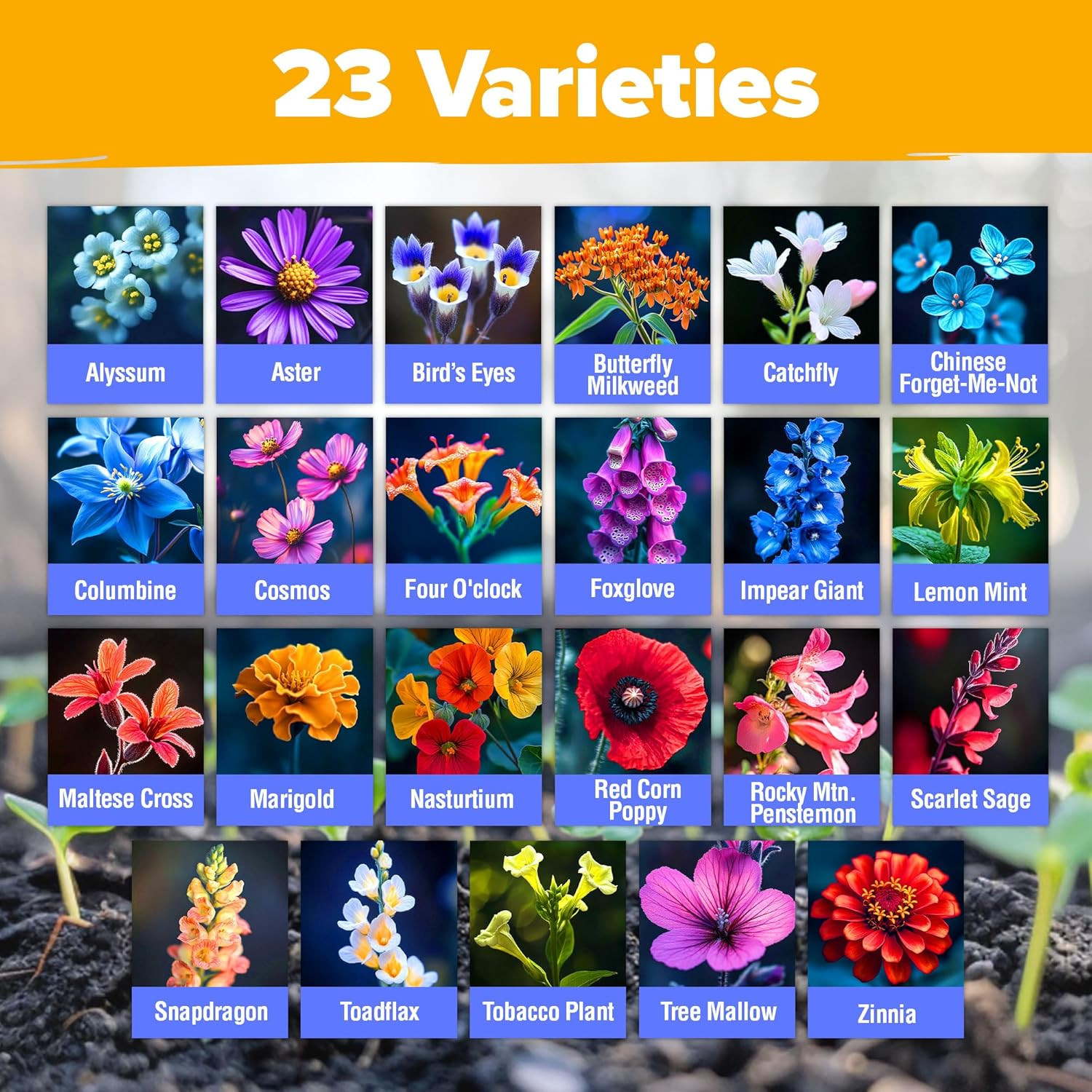Premium Wildflower Seeds 89,000+ Count – 23 Non-Gmo Native Varieties for Bees, B