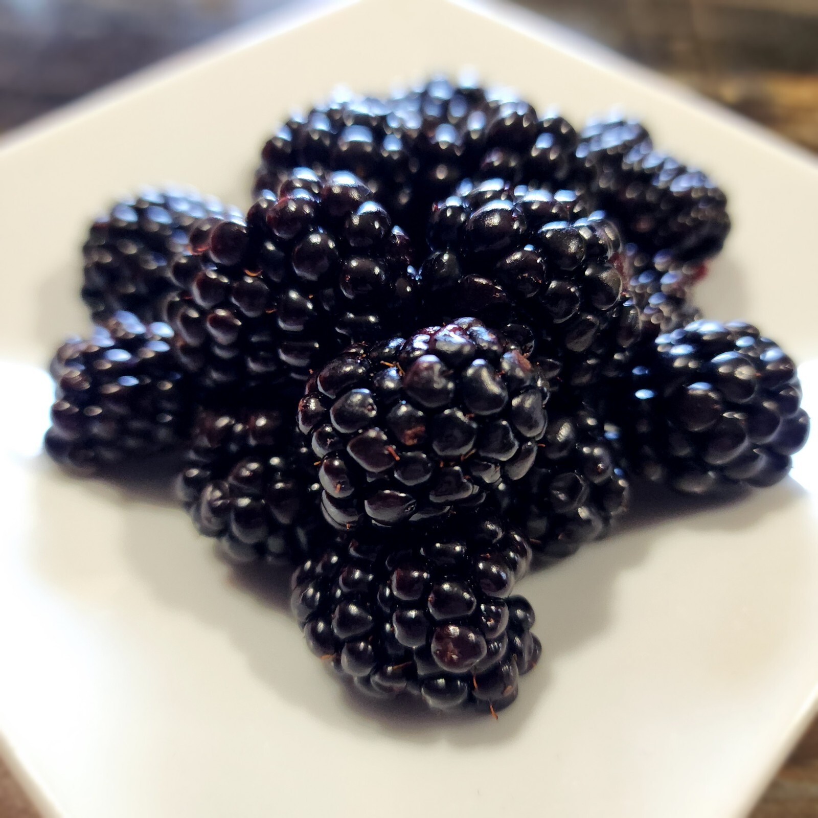 Thornless Blackberry Seeds (50)