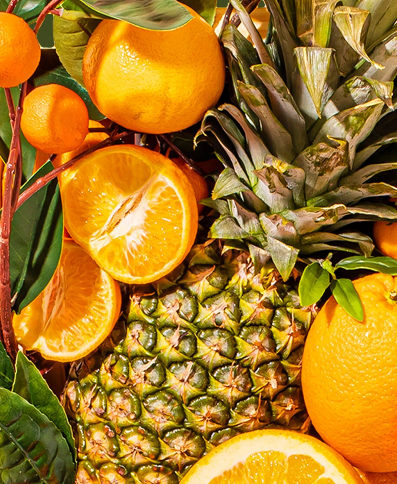 20 Pineapple Sweet Orange Citrus Tree Seeds