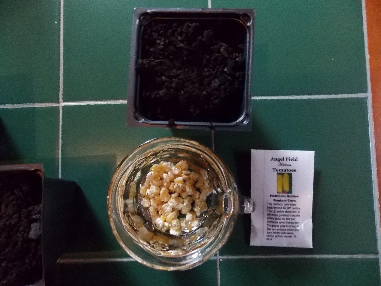 50 Golden Bantam Native American Corn Seeds “Plus 2 Packs of Vegetable Seeds