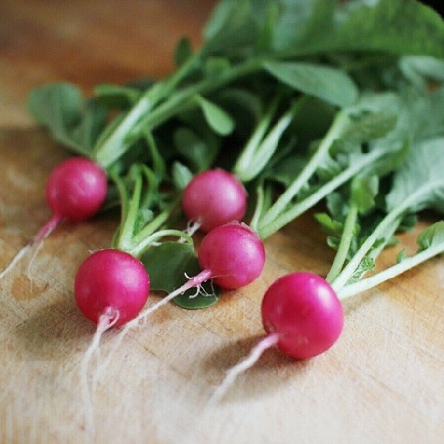 3 different salad kits you choose grow your own NON-GMO seeds VERY EASY HEALTHY!