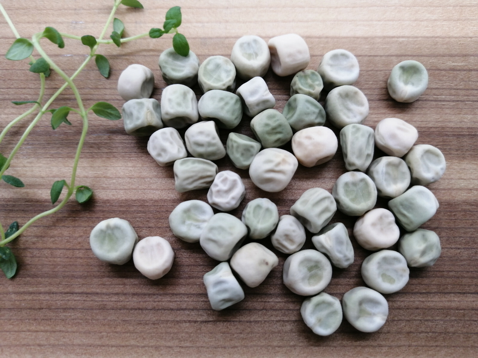 Sugar Ann Snap Pea 50 Vegetable Seeds, Pisum sativum Dwarf Vine, Non-GMO, Patios