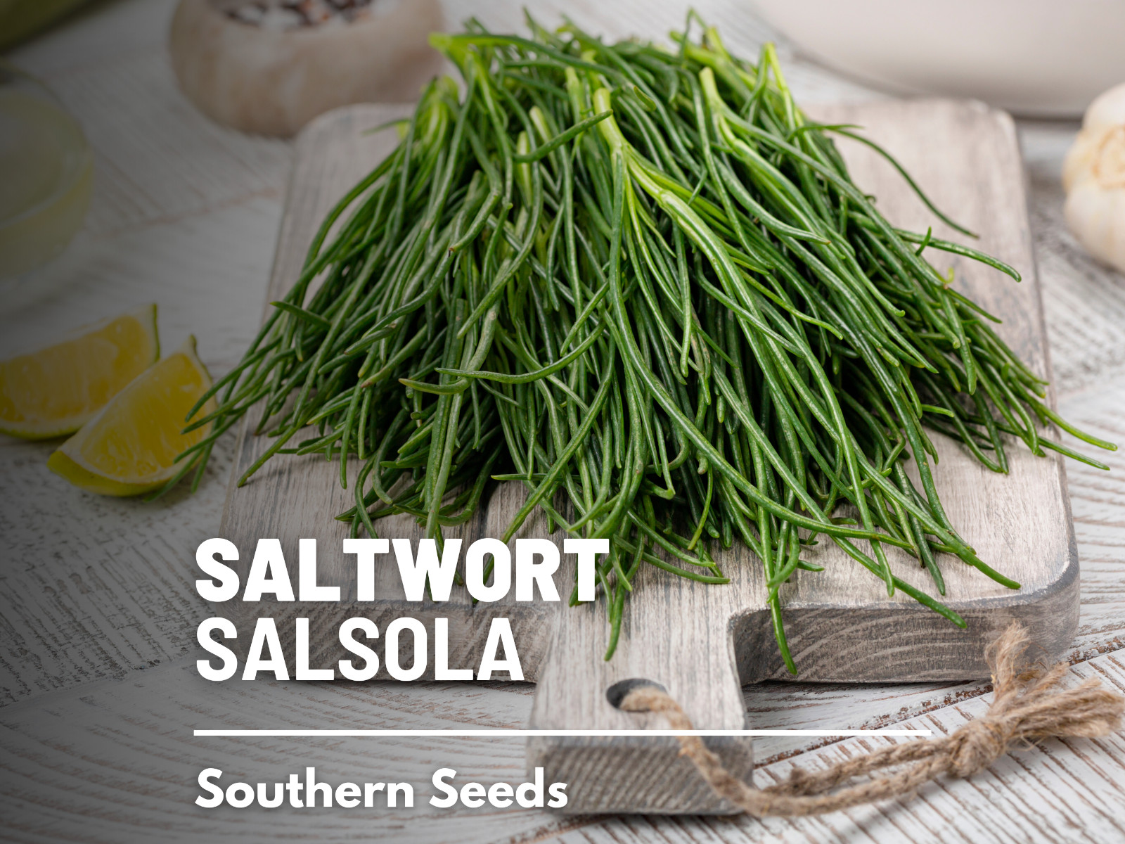 Saltwort – Salsola – 50 Seeds – Culinary/Medicinal Herb – Japanese Land Seaweed