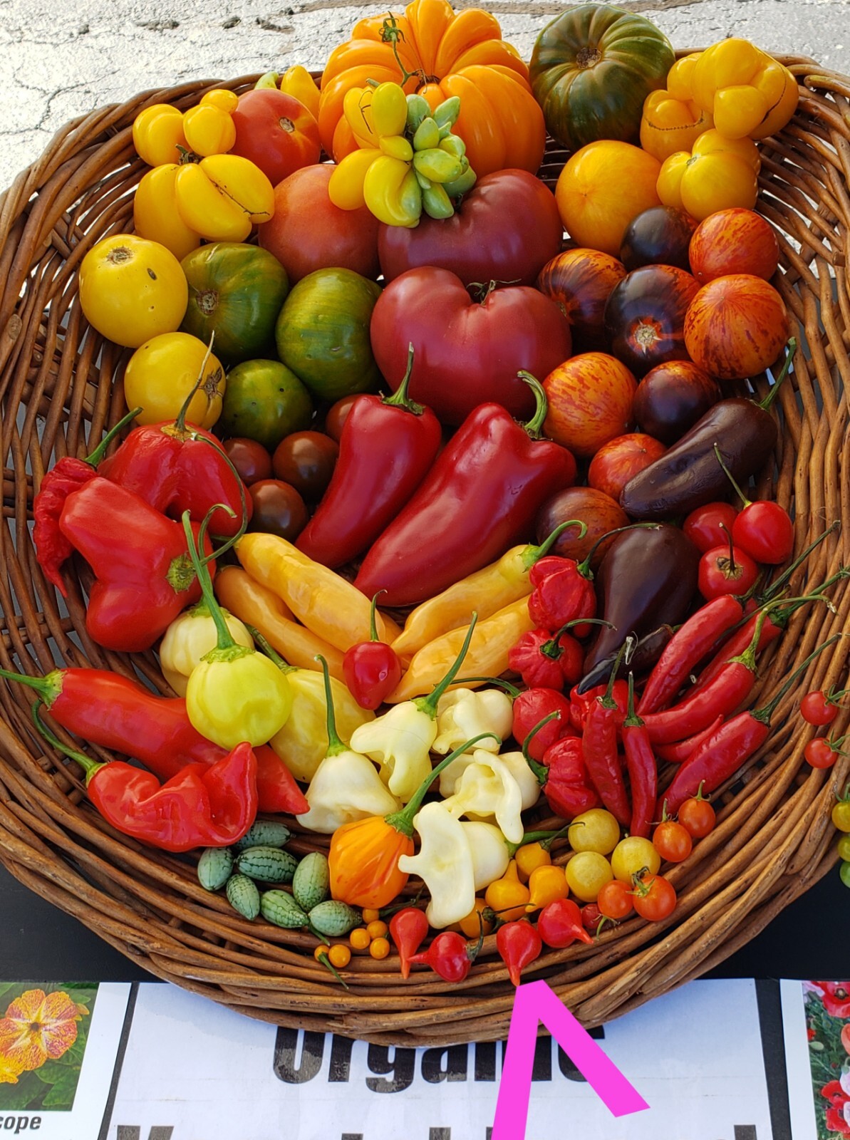 Biquinho Peppers Red & Yellow Organic 10 Count *Free Shipping*