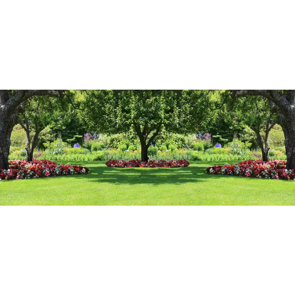 3 Lbs. Sun and Shade Grass Seed