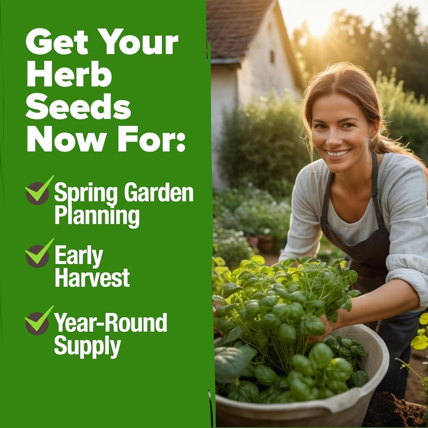 Complete Culinary Herb Seed Collection – 15 Varieties for Every Garden