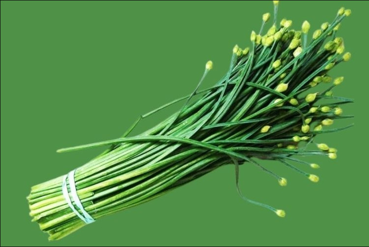 1 Gr (300 Seeds) Garlic Chives Flower Seeds for Plating, Leek Flowering Seeds