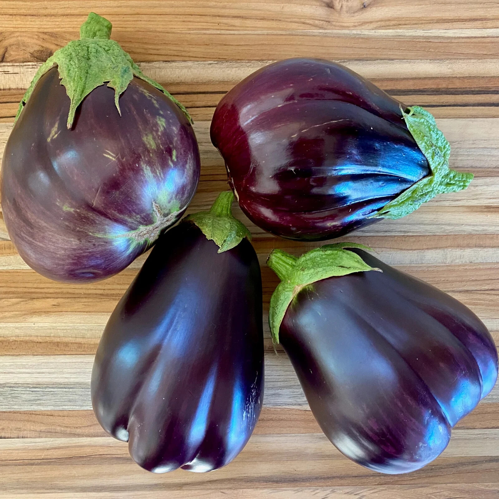 ASWAD Iraqi Eggplant seeds, huge fruits up to 2-3 pounds 25+ Seeds