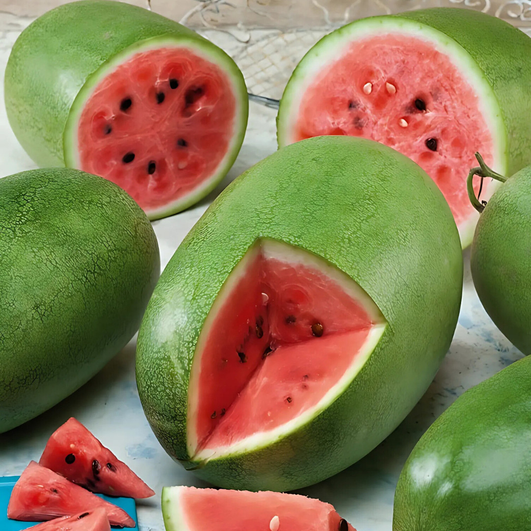 Fresh Charleston Grey Watermelon Seeds | Heirloom Non-GMO | Fresh Fruit Seeds