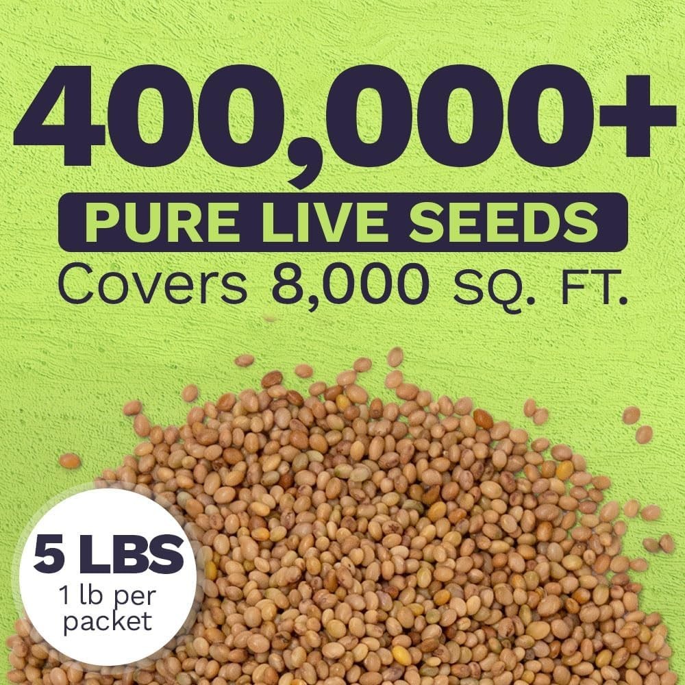 Crimson Clover Seeds for Planting – Bulk 5 Pounds – Over 400,000 Open Pollina…