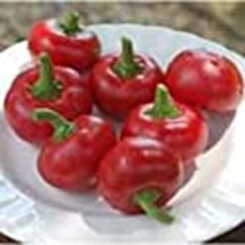 Red Cherry Large Sweet Peppers Seeds (((25 Seed Packet))) (More Heirloom, Organi