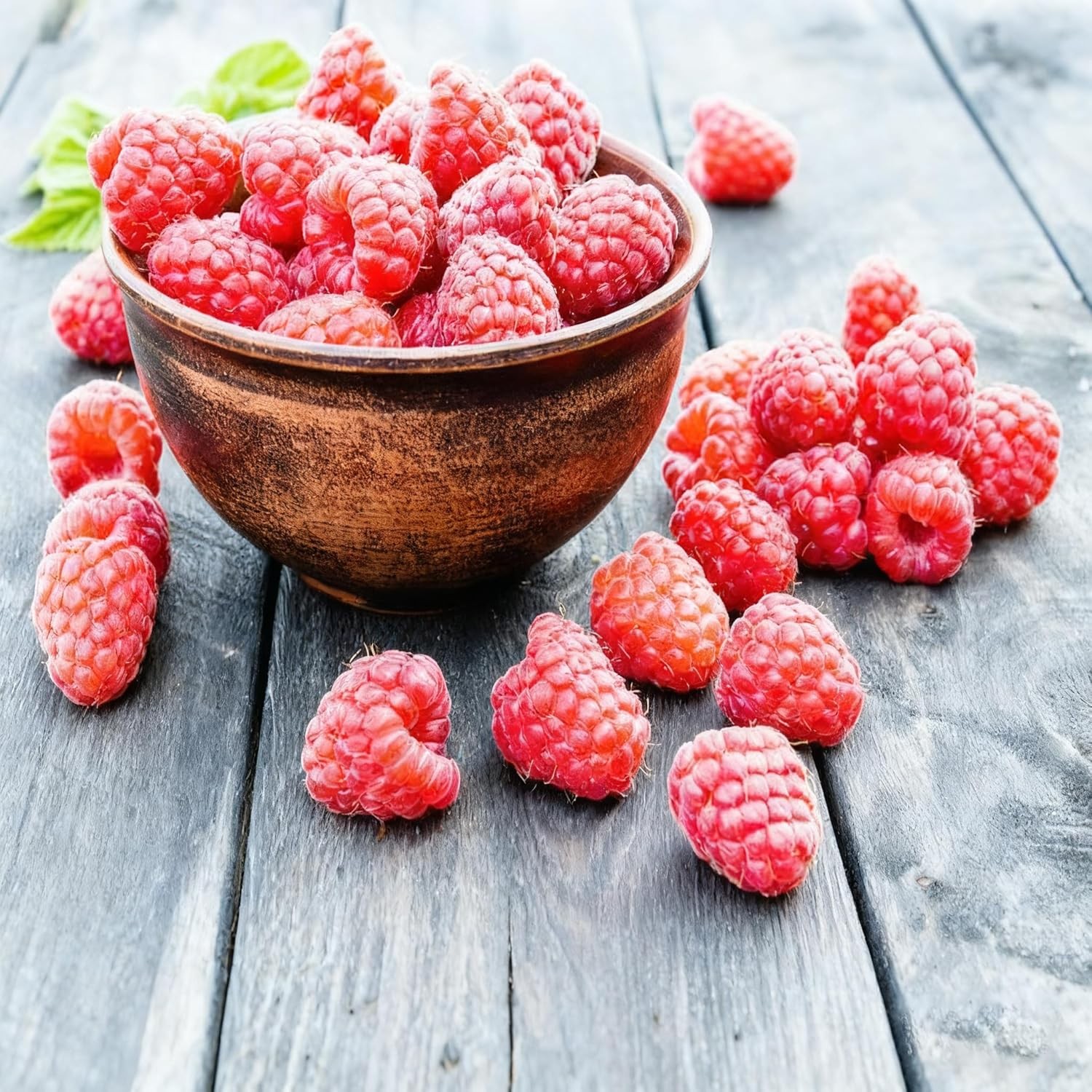 1500+ Fruit Tree Seeds Mixed for Planting, 6 Varieties, 400 Strawberry 200 Blueb
