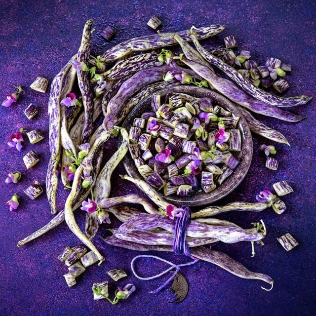 Dragon Tongue Bean Seeds (25) / Bush / Super Rare / Easy / Florida