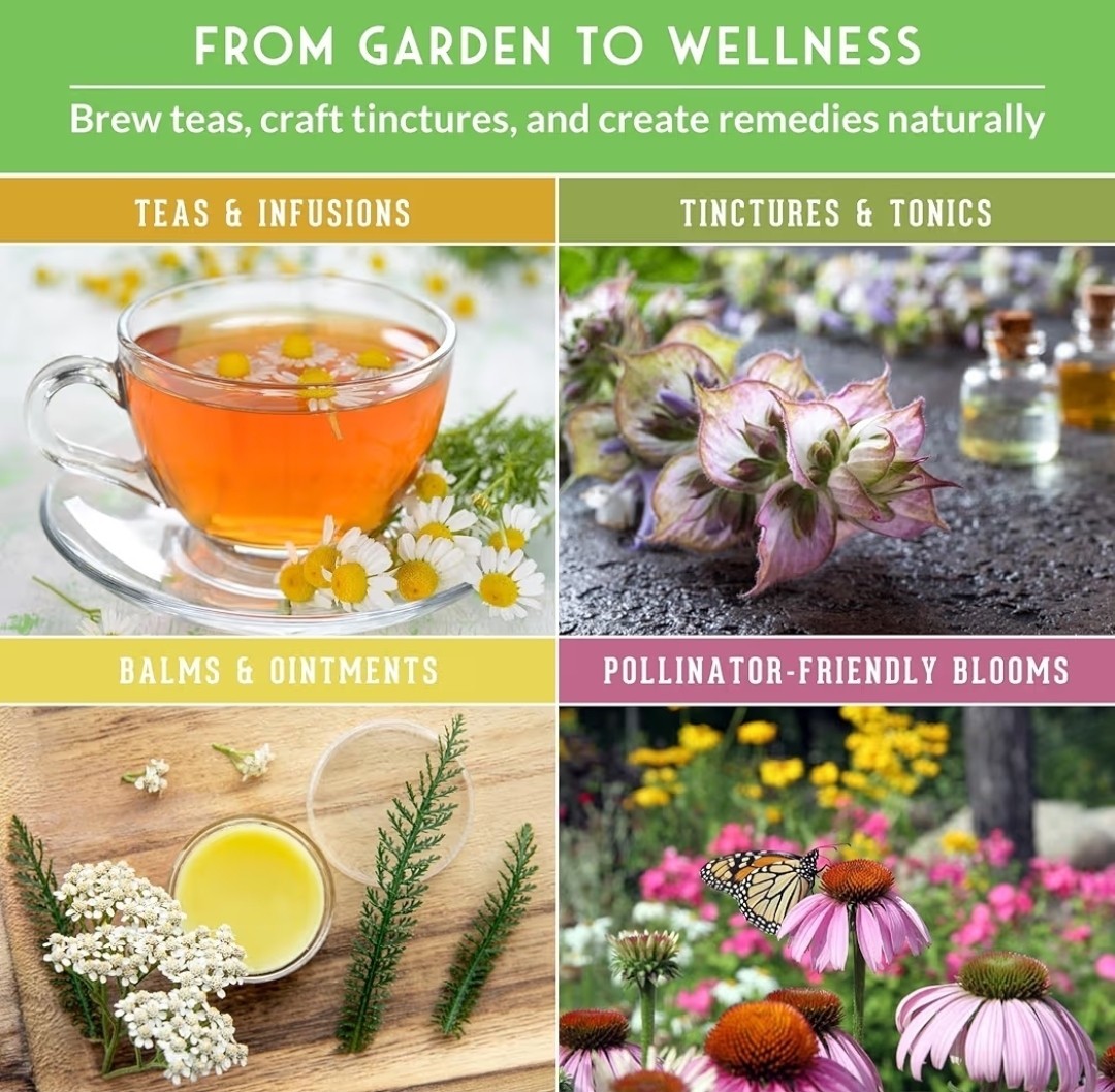 Medicinal Herb Seeds Variety Pack – 36 Type Heirloom Non-GMO Healing Herbs