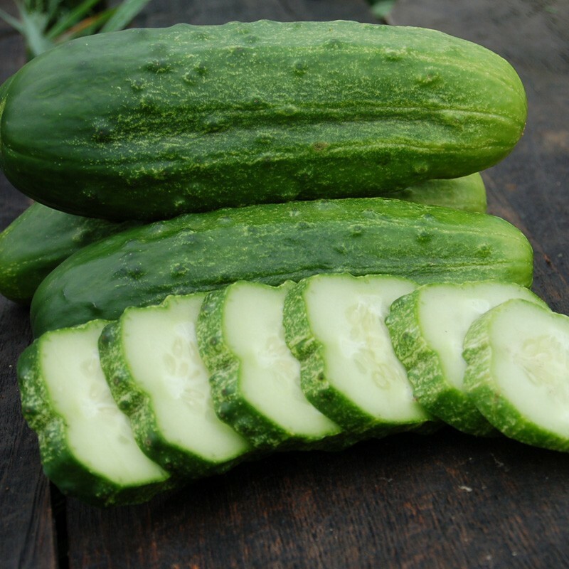 National Pickling Cucumber Seeds, Pickles, Gherkins, NPPA, NON-GMO, FREE SHIP