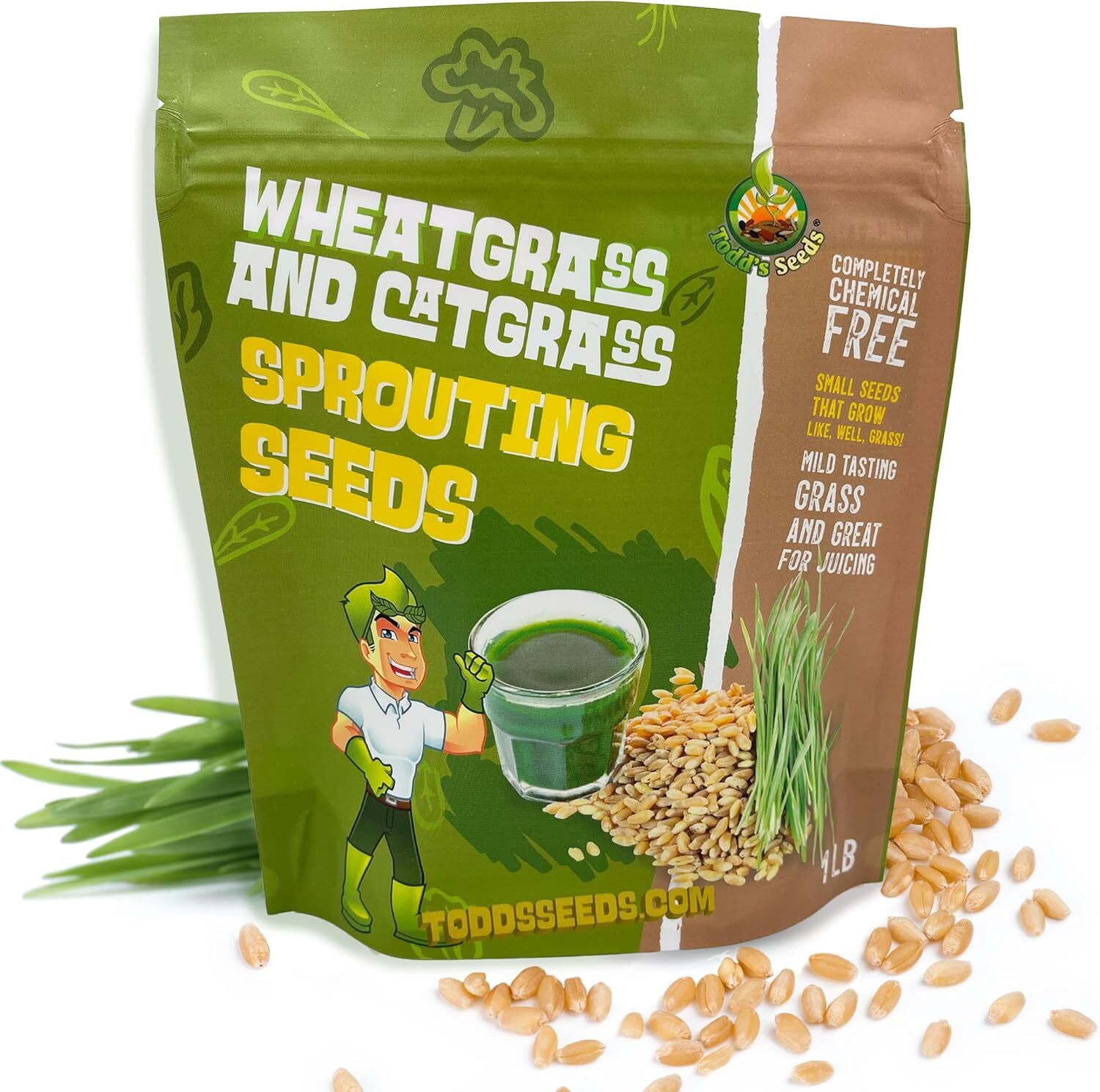 1 Pound of Cat Grass Wheatgrass Seeds Non GMO Sprouting Nutritious Health to Eat