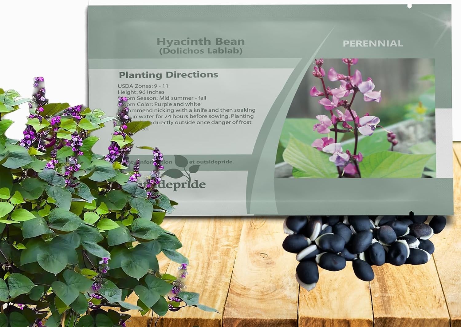 Vibrant Green Lablab Vine Seeds – Fast-Growing, 100 Pcs for Culinary Gardens
