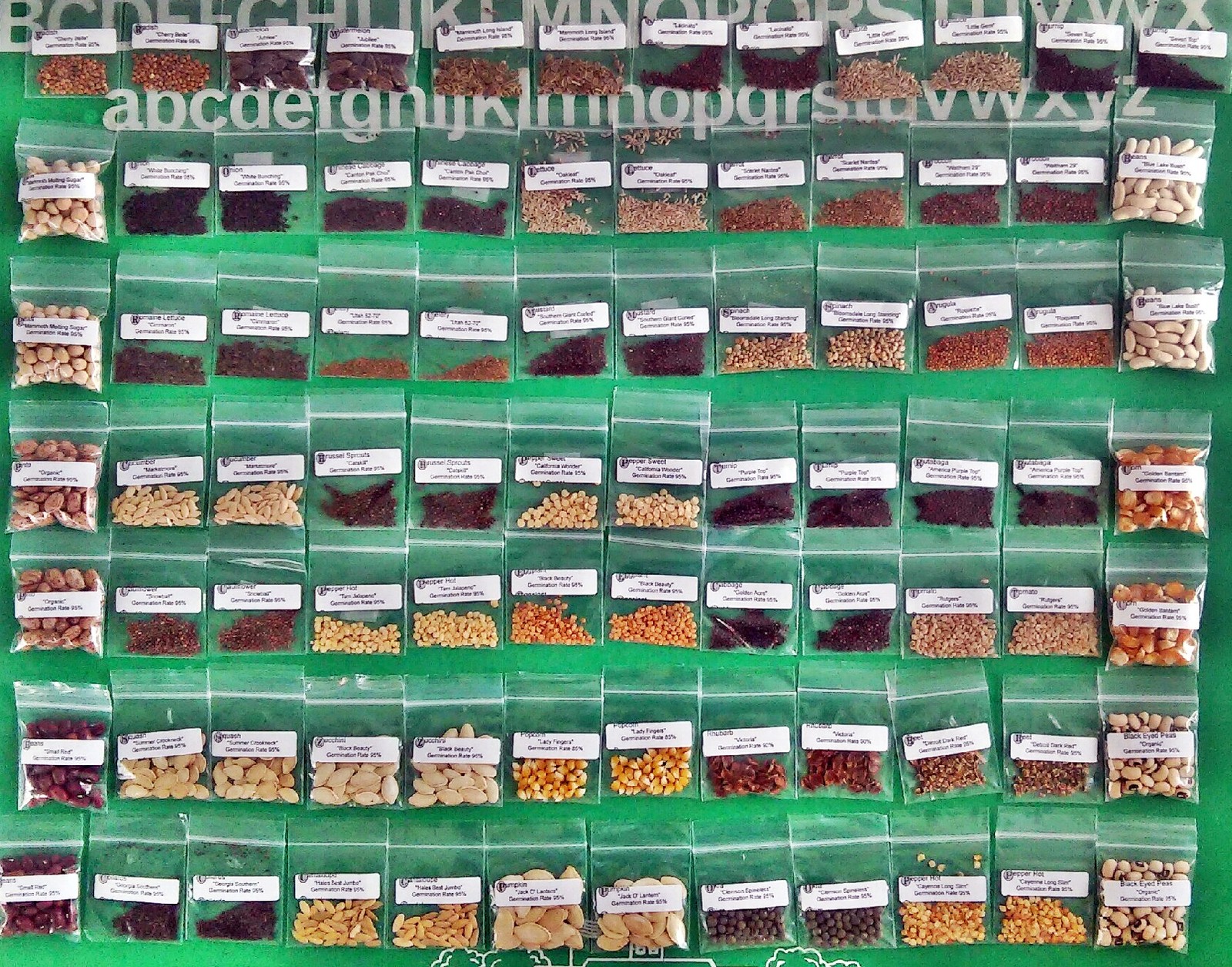 Seeds,Emergency,Survival Non-GMO,Organic,Heirloom 80 Pkgs 40 DifferentVarieties