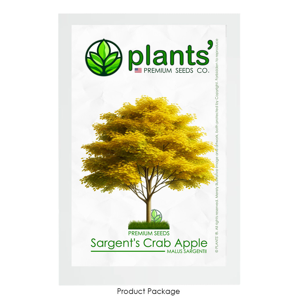 Sargent’s Crabapple Tree | Premium Seeds | Malus sargentii ‘Fall’ | Plants’®