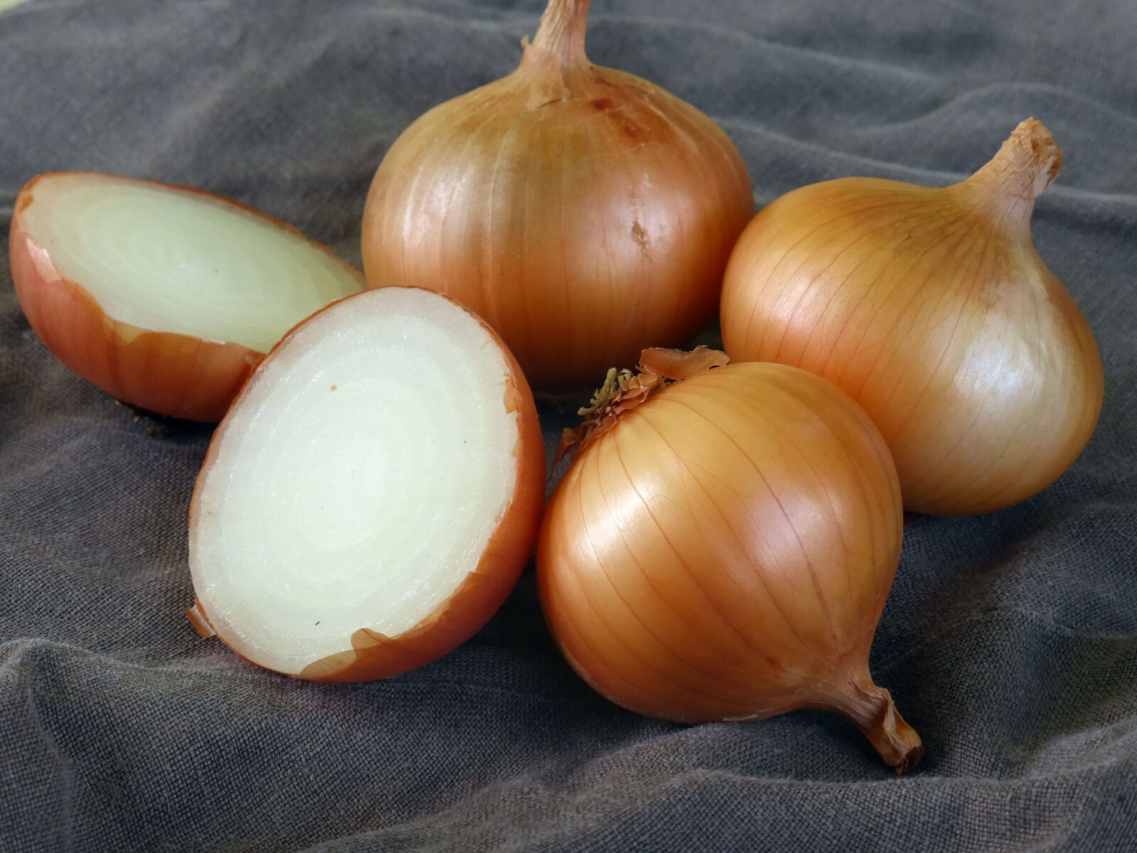 Walla Walla Onion Seeds 200+ Sweet Mild Vegetable Garden NON-GMO FREE SHIPPING