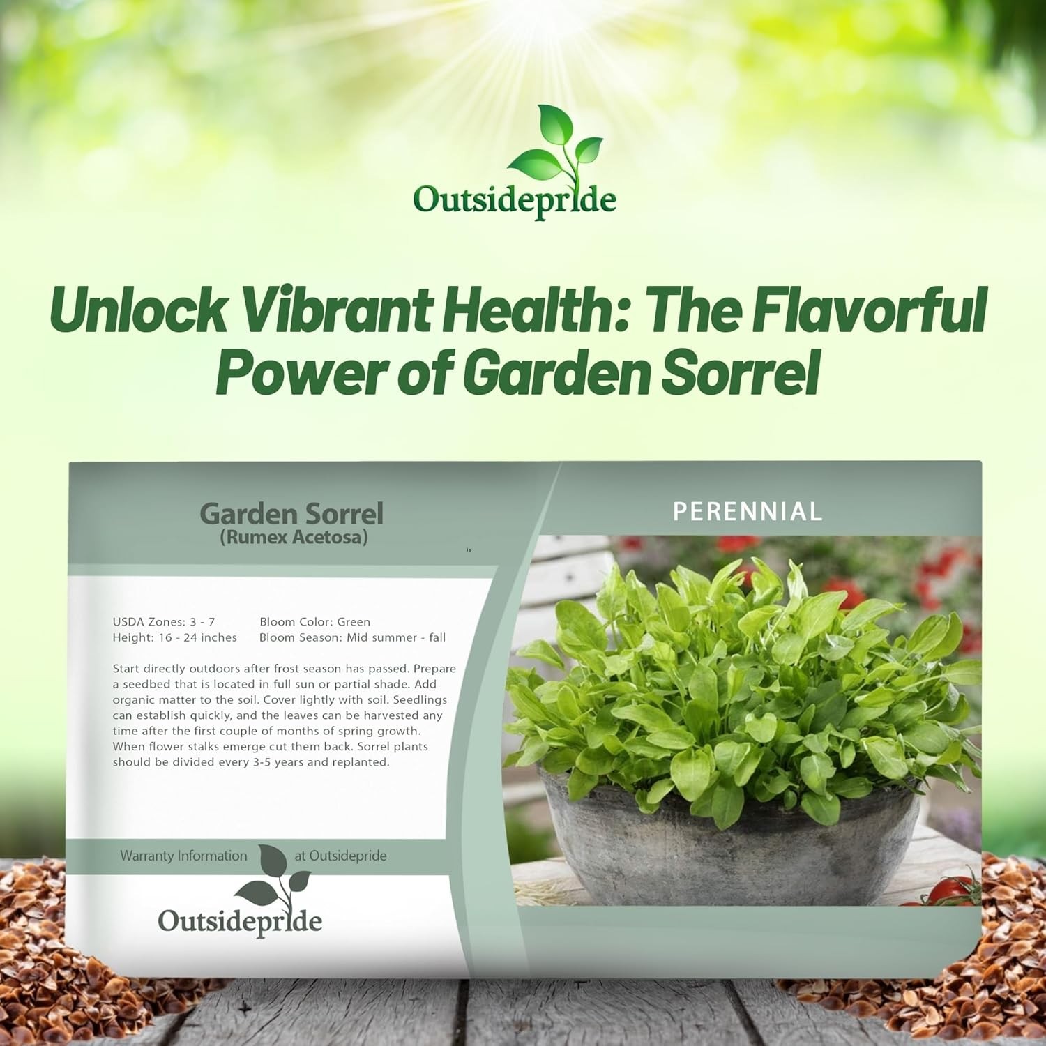 5000 Seeds Sorrel Seed For Planting – Garden Sorrel Herb Seeds