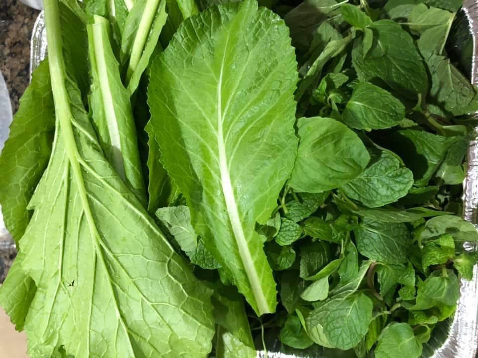 300+ PCS GREEN MUSTARD SEEDS, HẠT CẢI BẸ XANH | HIGH GERMINATION |