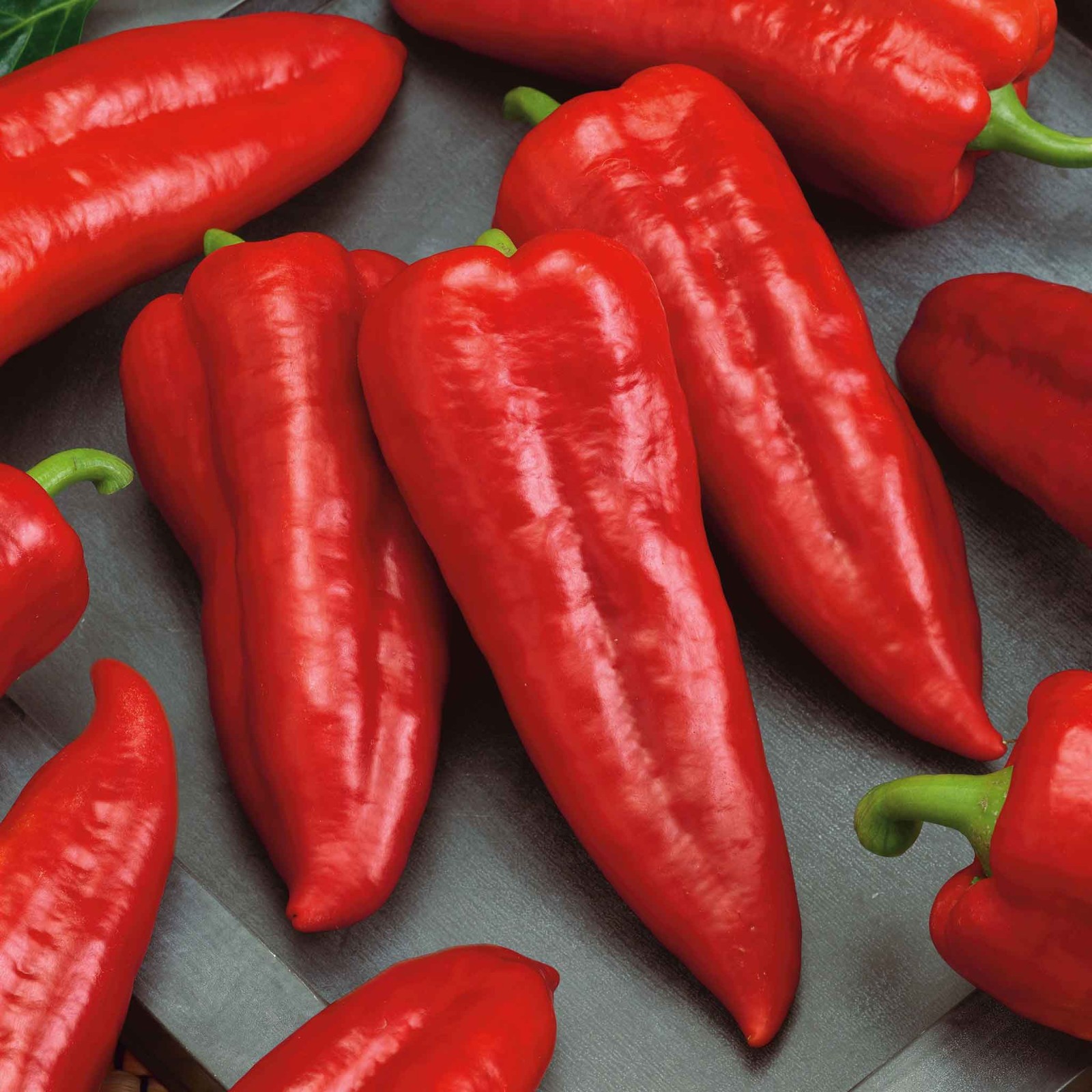 Giant Red Marconi Sweet Pepper Seeds. Ten (10) Untreated Seeds. Free Shipping!