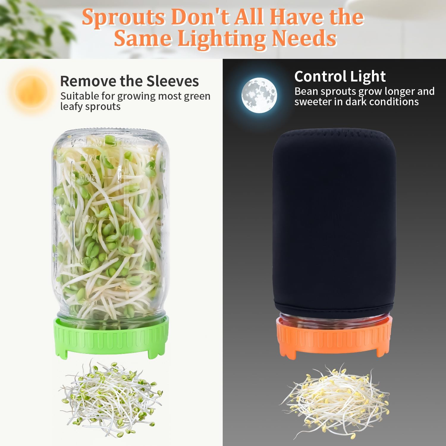 Seed Sprouting Kit with Mung Beans 80G, 2 Large Wide Mouth Mason Jars with Sprou